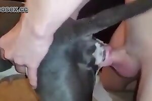 dog sex,fuck