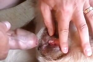 zoo sex tube,closeup zoo porn