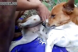 blowjob,fuck