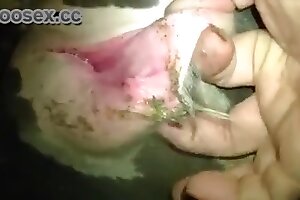 beastiality orgasms,zoophilic girls