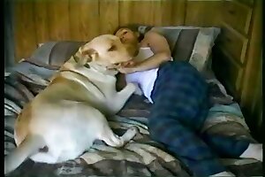 fuck,dog sex